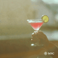 Fun Celebrate GIF by MSC Cruises Official