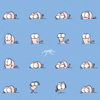 cats GIF by marko