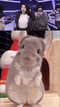 Eve Sue GIF