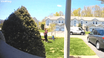Game of Tag Ends After Zoomie Collision