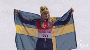Paralympic Games GIF by International Paralympic Committee