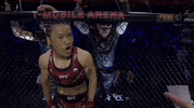 Mixed Martial Arts Sport GIF by UFC
