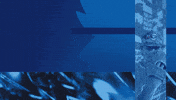 Creighton Bluejays GIF by Creighton University Athletics