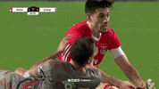 Sl Benfica What GIF by Sport Lisboa e Benfica