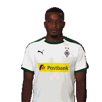 Searching Borussia Monchengladbach Sticker by Bundesliga