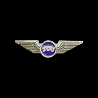 University Texas GIF by Pinned Pins