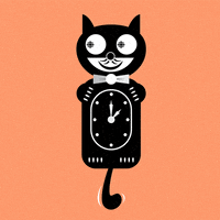 Black Cat GIF by CBC