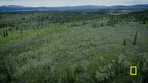 life below zero GIF by National Geographic Channel