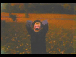 Trick Or Treat Halloween GIF
