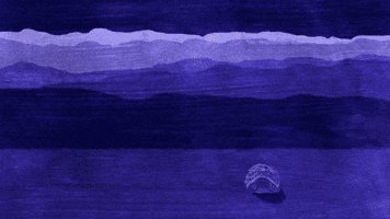 Coming Out of the Shell