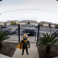 Mascot Flying GIF by CaptainBNB