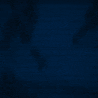 Defend This Is My House GIF by Columbus Blue Jackets