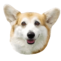 Happy Dog Sticker by Weld Realty