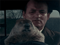 bill murray GIF