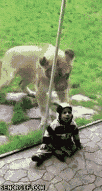 scratching sad but true GIF by Cheezburger