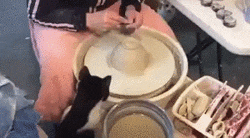 pottery help GIF