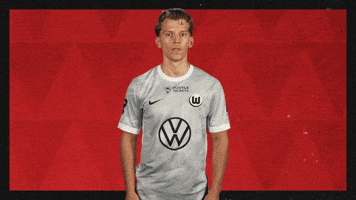 Vfl Wolfsburg What GIF by Bundesliga