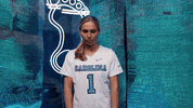 Look Up North Carolina GIF by UNC Tar Heels