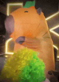 Capibara Onichan GIF