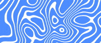 Linkbio GIF