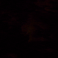 sleepy good night GIF by joecappa