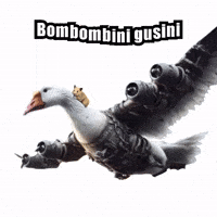 Nurungi GIF
