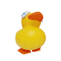 Duck Knocking Sticker