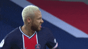 Paris Saint Germain Football GIF by Ligue 1