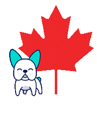 Canadian Car Sticker by olive