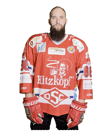 Hockey Sticker by dsc-eishockey