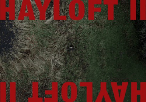 Music Video Ii GIF by Mother Mother