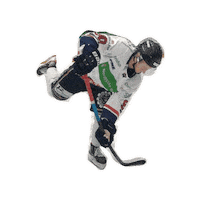Player Athlete Sticker by WhiteHawks