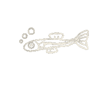 Fish Sticker