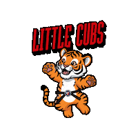 Little Cubs Sticker by AllstarMartialArtsAcademy