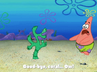 season 4 GIF by SpongeBob SquarePants