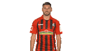Sc Freiburg Football Sticker by Bundesliga