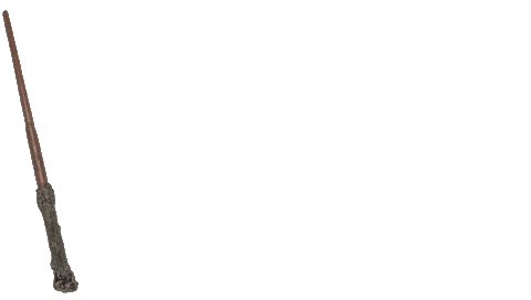 Harry Potter Tattoo Sticker by Hart & Huntington Tattoo