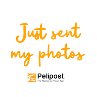 Incarceration Prison Wife Sticker by Pelipost The Photos-to-Prison App®️