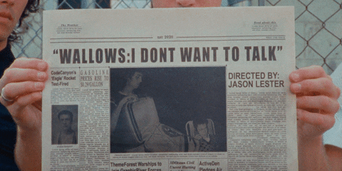 I Dont Want To Talk GIF by Wallows