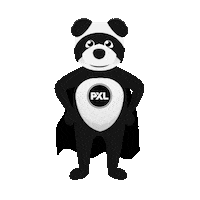 Happy Bear Sticker by Hogeschool PXL