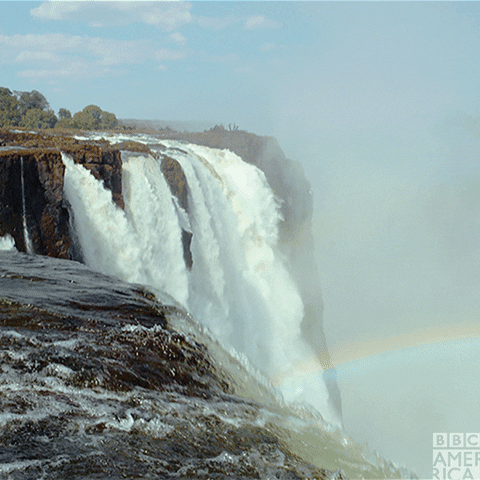 enchanted kingdom rainbow GIF by BBC America