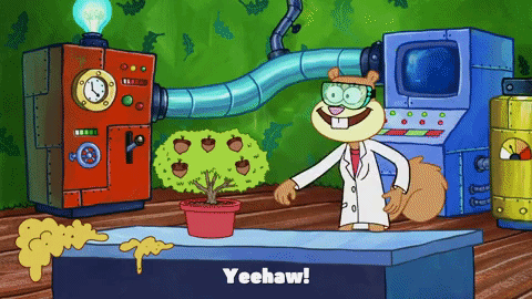 season 9 episode 23 GIF by SpongeBob SquarePants