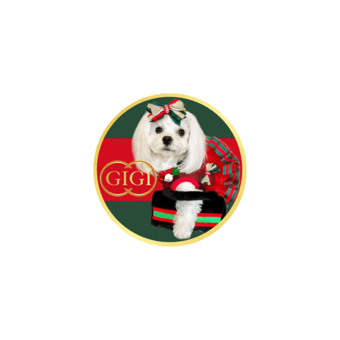 Dog Fashion Maltese Sticker by Pimp Yo Pets