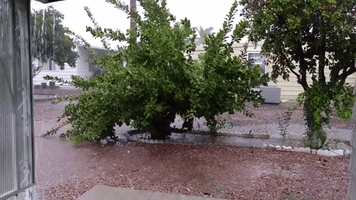 Monsoon Rain in Arizona Leads to Flash Flooding