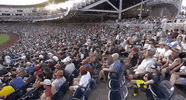 Notre Dame Baseball GIF by NCAA Championships