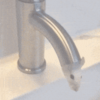 Good Morning Peace GIF