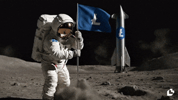 To The Moon Wow GIF by LitVM