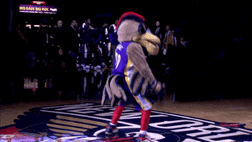 new orleans pelicans twerk GIF by NBA