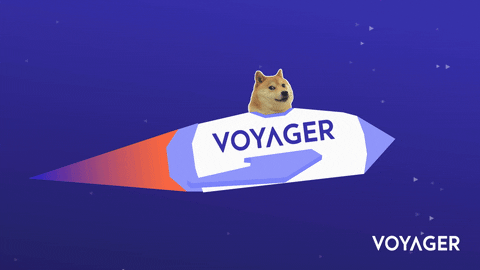 InvestVoyager giphyupload dogecoin voyager vgx GIF