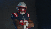 Kyle Williams Football GIF by New England Patriots